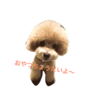 愛犬の生活（個別スタンプ：1）