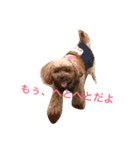 愛犬の生活（個別スタンプ：4）
