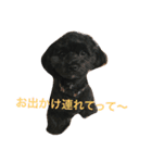 愛犬の生活（個別スタンプ：5）