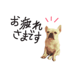 ひなたとろびん2（個別スタンプ：3）