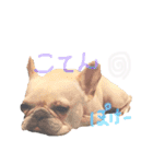 ひなたとろびん2（個別スタンプ：13）