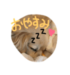 犬物語#（個別スタンプ：2）