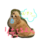 犬物語#（個別スタンプ：5）