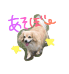 犬物語#（個別スタンプ：6）