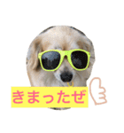 犬物語#（個別スタンプ：9）