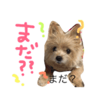 あずちゃちゃ2（個別スタンプ：1）