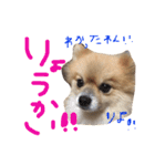 あずちゃちゃ2（個別スタンプ：2）