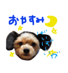 あずちゃちゃ2（個別スタンプ：3）