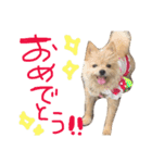 あずちゃちゃ2（個別スタンプ：16）