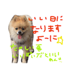 あずちゃちゃ2（個別スタンプ：17）