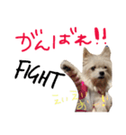 あずちゃちゃ2（個別スタンプ：22）