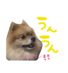 あずちゃちゃ2（個別スタンプ：26）