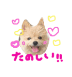 あずちゃちゃ2（個別スタンプ：33）