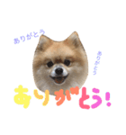 あずちゃちゃ2（個別スタンプ：36）