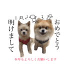 あずちゃちゃ2（個別スタンプ：38）
