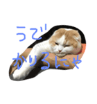 キャラメルのメルちゃん（個別スタンプ：1）