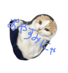 キャラメルのメルちゃん（個別スタンプ：4）