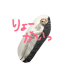 キャラメルのメルちゃん（個別スタンプ：7）
