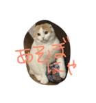キャラメルのメルちゃん（個別スタンプ：8）