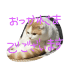 キャラメルのメルちゃん（個別スタンプ：14）