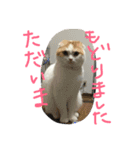 キャラメルのメルちゃん（個別スタンプ：15）