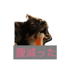 梅なっつ麦（個別スタンプ：1）