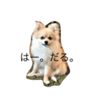 梅なっつ麦（個別スタンプ：5）