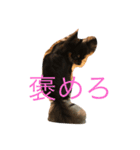 梅なっつ麦（個別スタンプ：6）