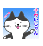 オジサン会話のネコ その2（個別スタンプ：12）