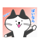 オジサン会話のネコ その2（個別スタンプ：14）