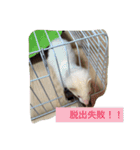 世界のまつ子3（個別スタンプ：4）