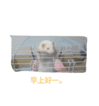 世界のまつ子3（個別スタンプ：5）