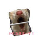 世界のまつ子3（個別スタンプ：6）