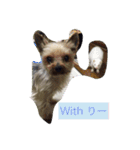 世界のまつ子3（個別スタンプ：7）