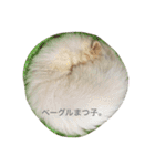世界のまつ子3（個別スタンプ：8）