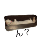 世界のまつ子3（個別スタンプ：13）