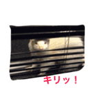 世界のまつ子3（個別スタンプ：16）
