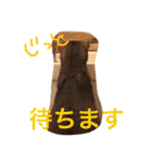 池田家の猫たち2（個別スタンプ：15）