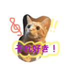 池田家の猫たち2（個別スタンプ：17）
