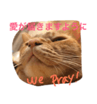 池田家の猫たち2（個別スタンプ：21）