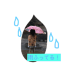 帆ママ 2（個別スタンプ：10）