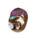 mairo;（個別スタンプ：3）
