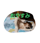 mairo;（個別スタンプ：14）