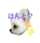 ぽぽすた（個別スタンプ：3）