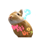 琥珀せんぱい（個別スタンプ：3）