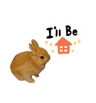 琥珀せんぱい（個別スタンプ：15）
