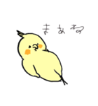 やる気なインコ（個別スタンプ：25）