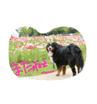 bobu (*^^*)（個別スタンプ：6）