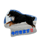 bobu (*^^*)（個別スタンプ：13）