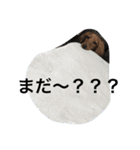 まひなさんの日常スタンプ（個別スタンプ：13）